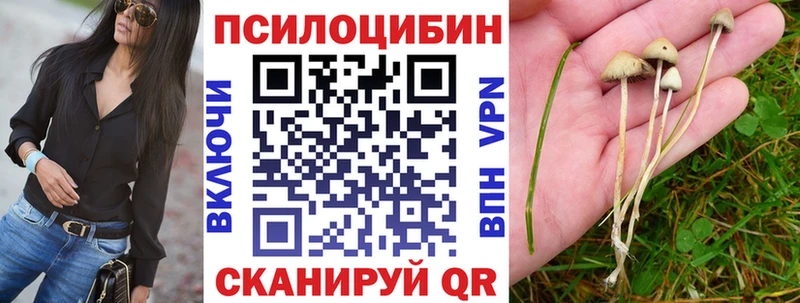 Псилоцибиновые грибы мухоморы Переславль-Залесский